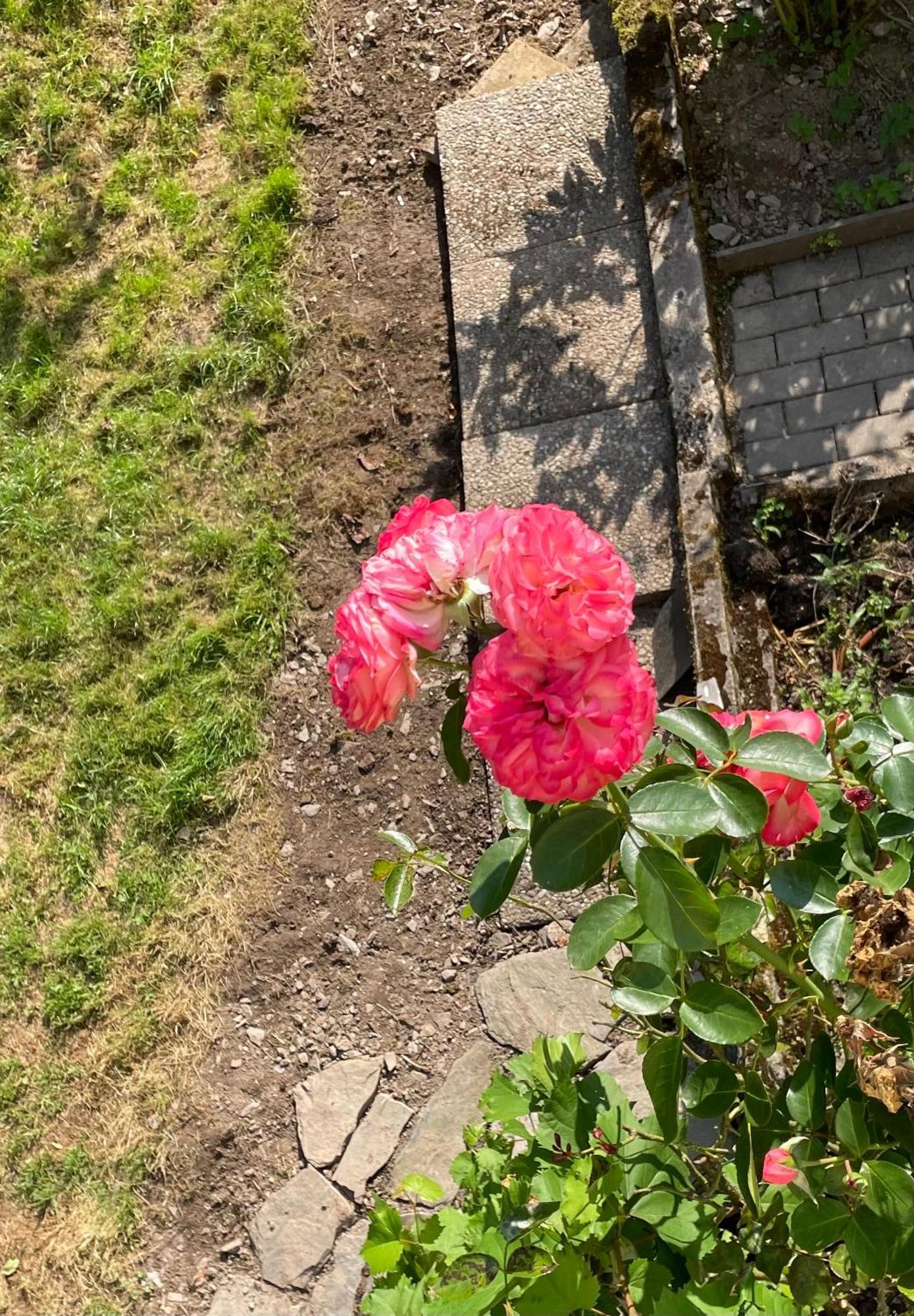 Deni'S Ferienwohnungen 클로텐 외부 사진